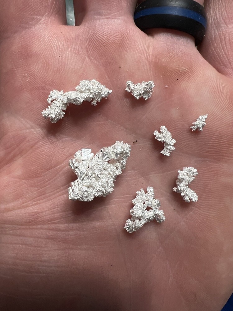 pirate treasure paydirt