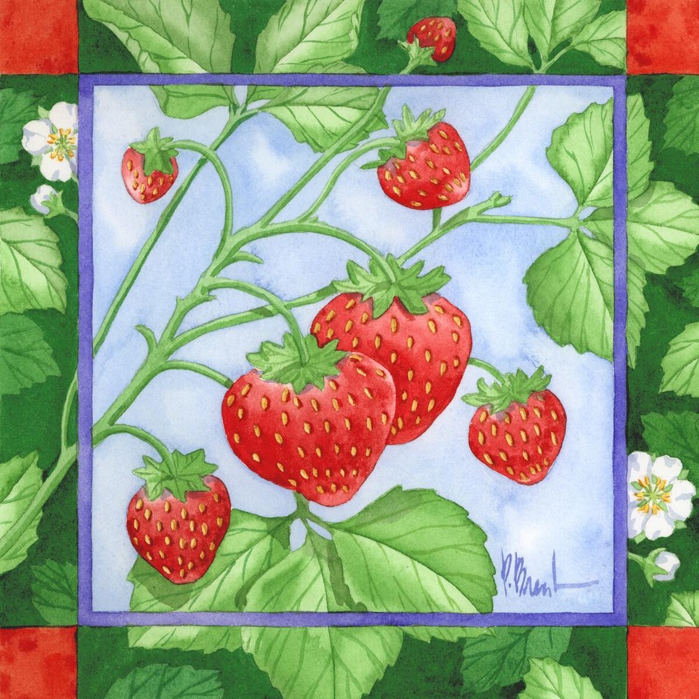 Ceramic Backsplash Tile Mural Fruit Vegetable Kitchen/Bathroom - Strawberries 3
