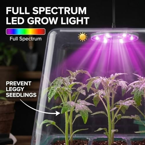 Seed Starter Kit with Grow Light, Elevated Seedling Tray Kit with Adjustable