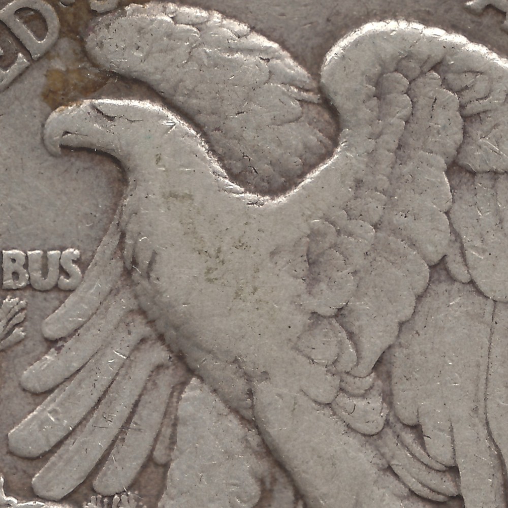 1921 S Walking Liberty Half Dollar, VF, scratched