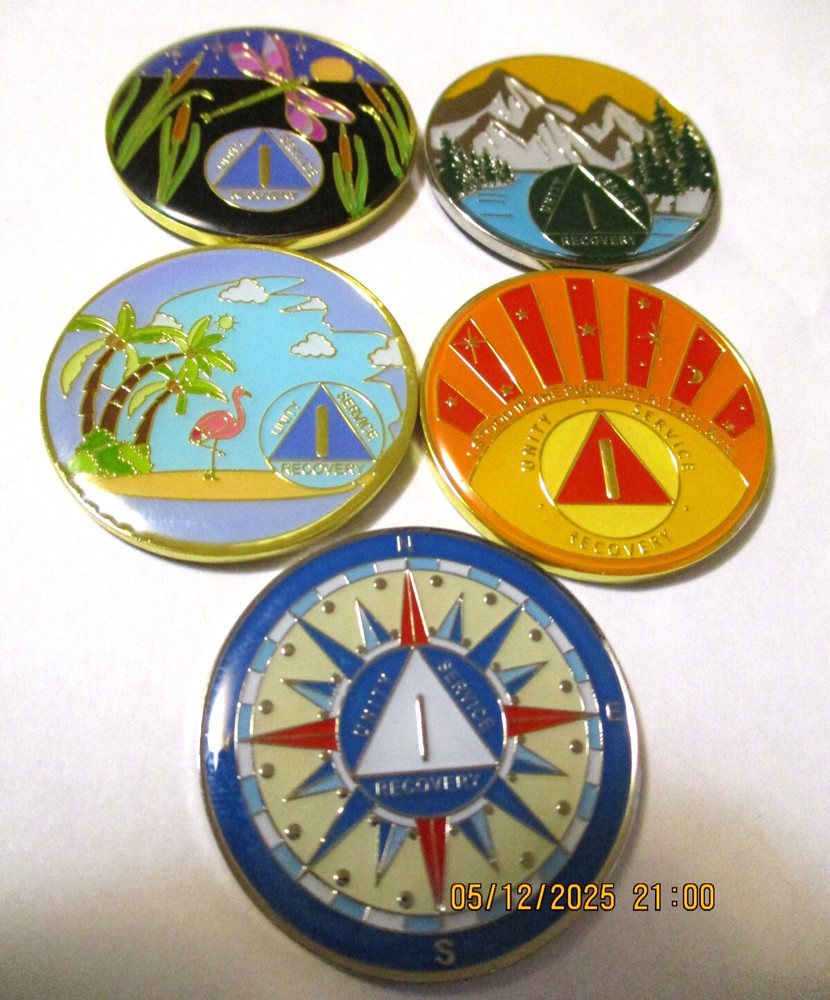 Coin Pink Butterfly Into Action Tri-plate 12 Step Programs