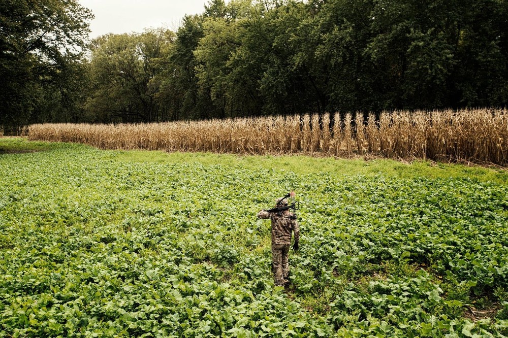 Evolved Harvest Mega Plot Series Wild Game Food Plot Seed High Protein
