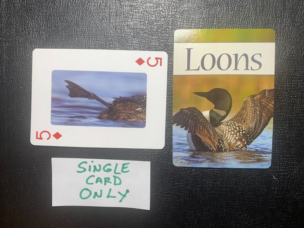 Swap Playing Card     LOONS      Single Card       STAN TEKIELA               5D