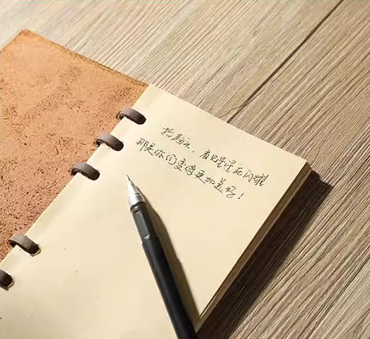 A6 loose leaf Writing note Notebook sketchbook binder Notepad leather brown Q348
