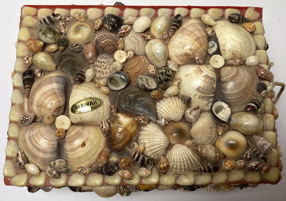 4 Handmade Seashell Boxes