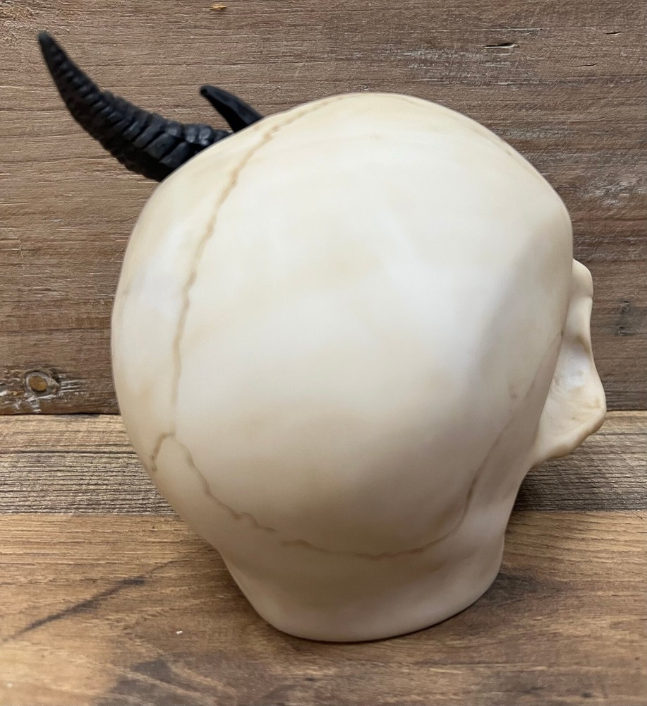 Dragon/Skull Resin Tabletop Decor 6" x 5.5"
