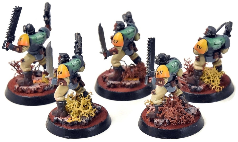 SPACE MARINES 5 Scouts #4 PRO PAINTED Warhammer 40K