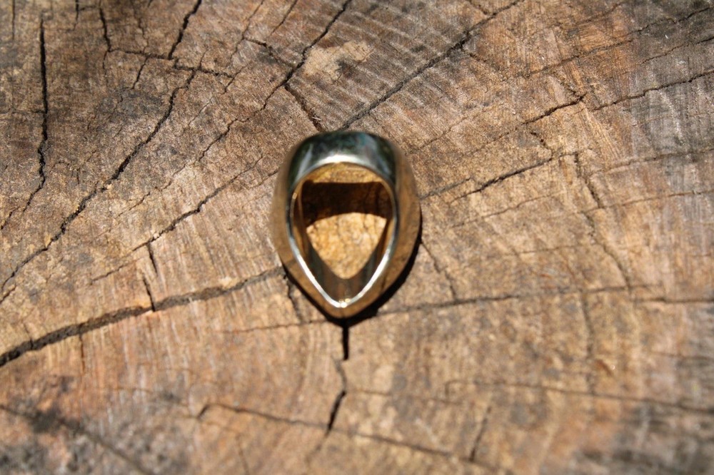 Petrified Wood Ring