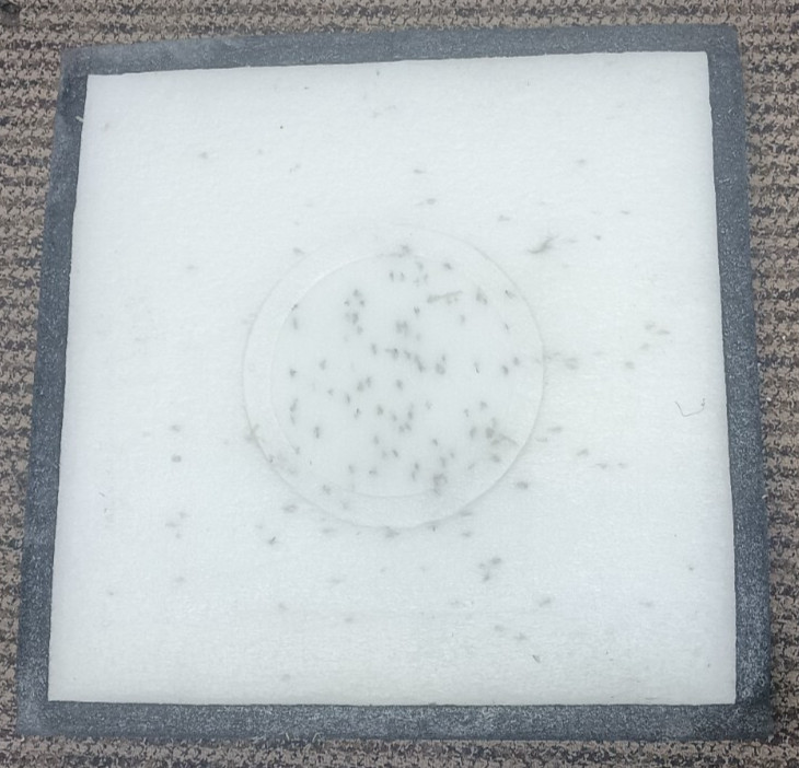 Stanley Hips Black Hole Archery Target 24" Inch