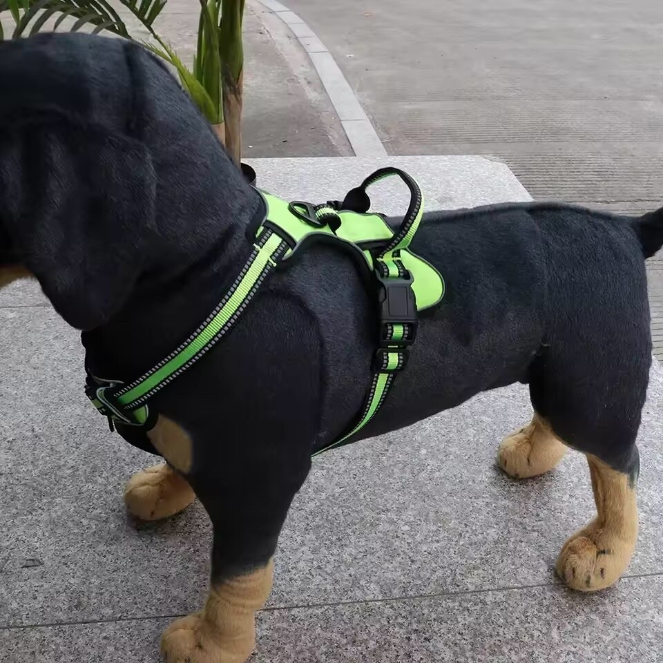 Comfort-Fit No-Pull Dog Harness – Control Without Compromising Comfort