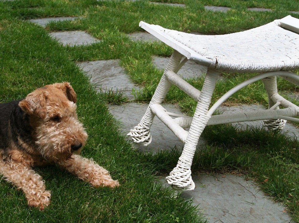 Antique Wicker Bench/Stool, circa 1900