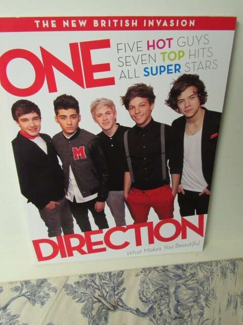 2012 One Direction: What Makes You Beautiful Book