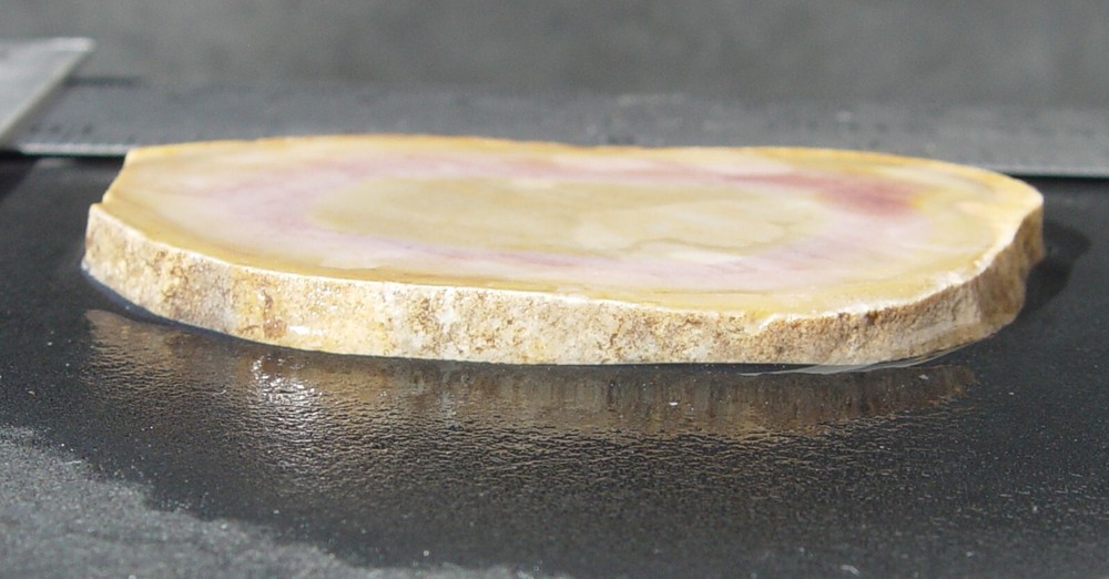 Texas Flint Lapidary Slab T1257