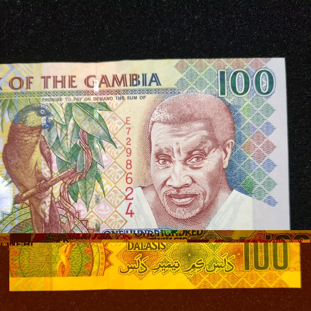 (ND/2013) - Gambia - 100 Dalasis Banknote - P.29 - Prefix E - UNC