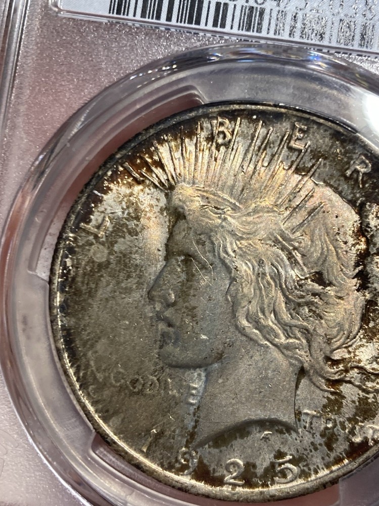 1925 PCGS MS64 Peace Silver Dollar - Toned - Crusty & Original!