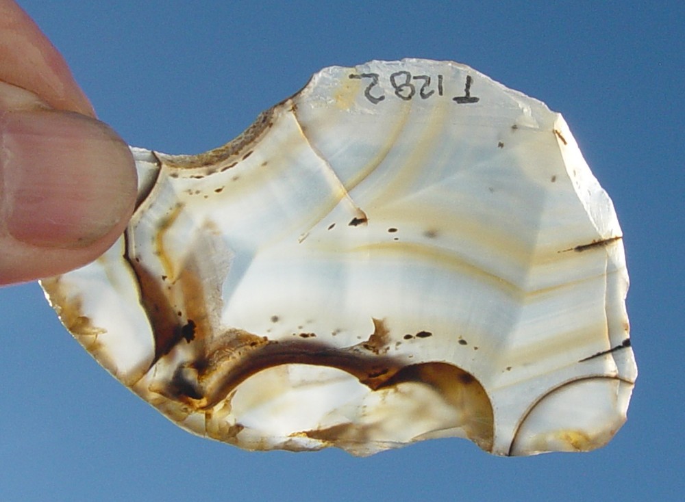 Montana  Agate   Lapidary Slab                   T1282