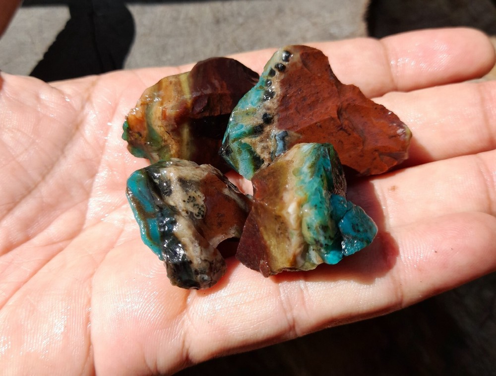 Get 4pc, Rare Natural Blue Opalized Petrified Wood, Indo Java Gem Minerals