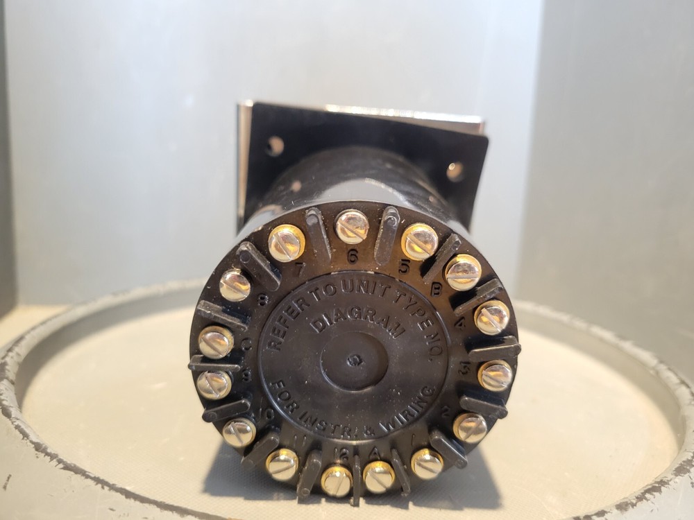 Eagle Signal Flexopulse Repeat Cycle Timer, HG107A6