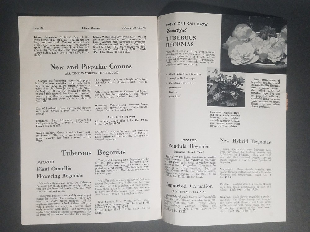 1957 Foley Gardens Catalog