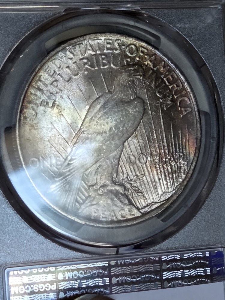 1924 $1 Peace Dollar PCGS MS64 Toned