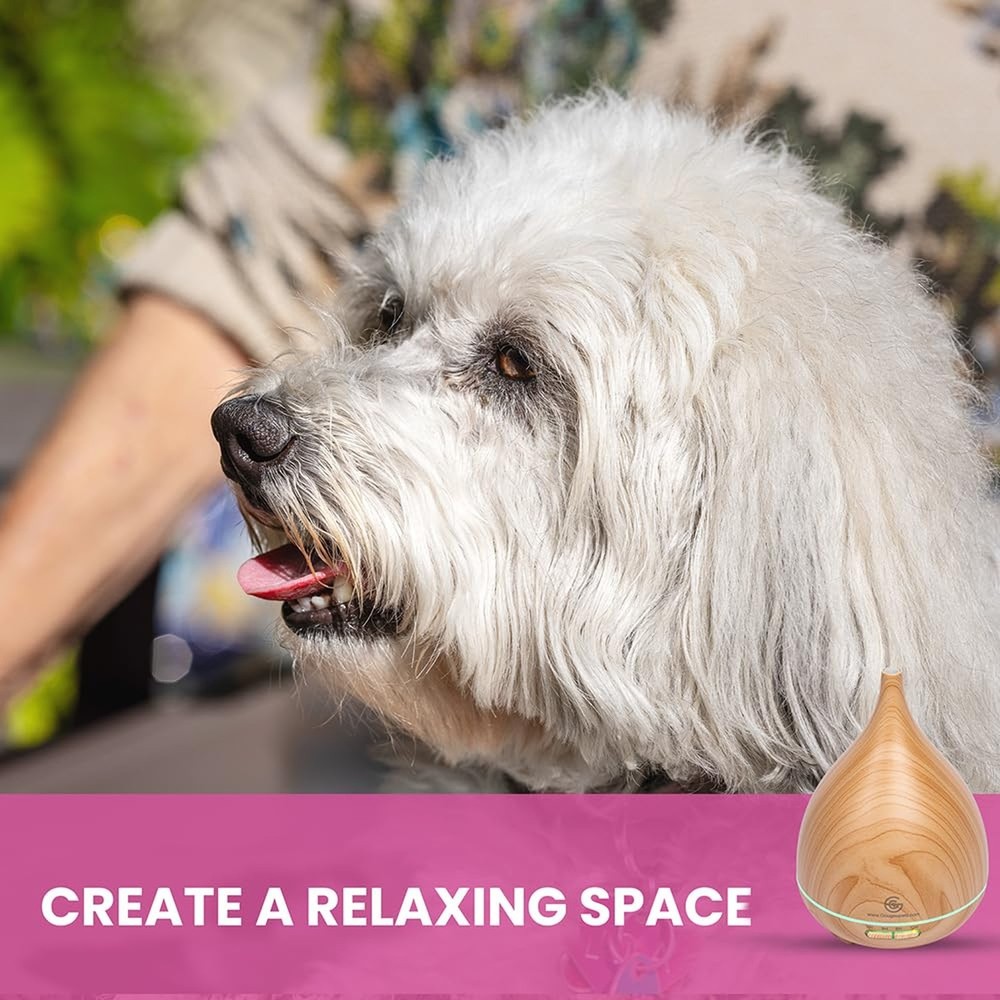 Pets Calming Diffuser for Essential Oils That Relax Your Pet While Providing ...