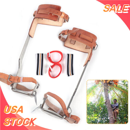 Tree Climbing Gear Kit for Tree Work 200KG Tree Climbing Tool with Tree Spikes