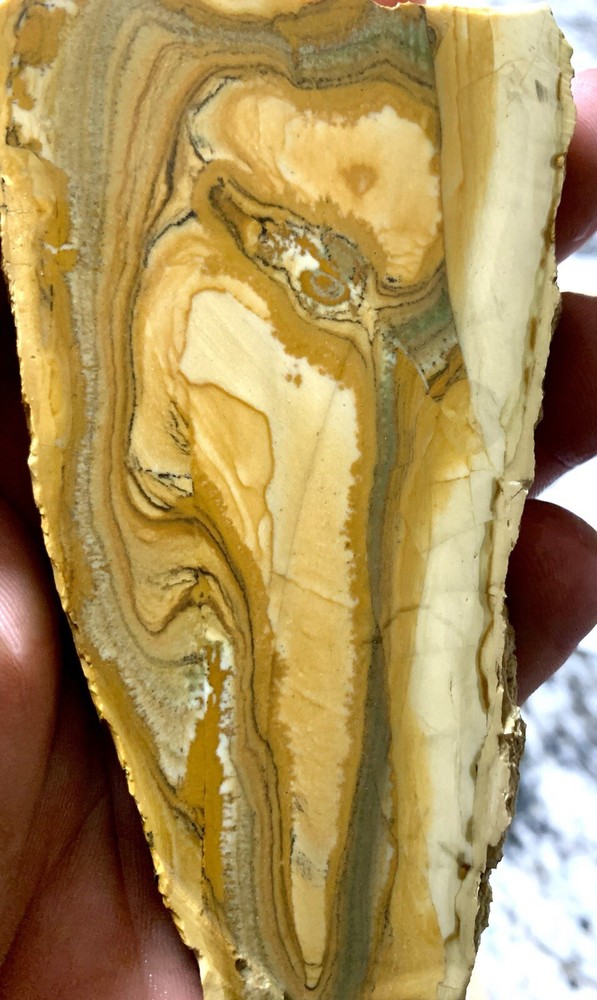 owyhee picture jasper Slab