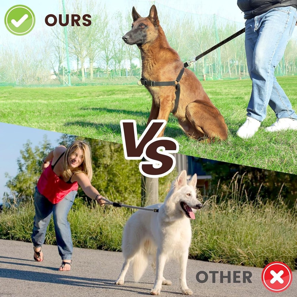 No Pull Dog Harness with Dog Leash, Easy to Control Walking Harness (Medium)
