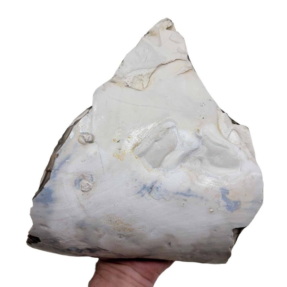 RARE Polish Flint Orbicular Rough Chunk!