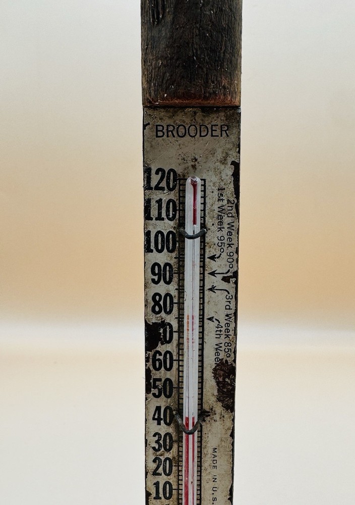 Vintage Wood Framed Chicken Brooder 9.5" Thermometer