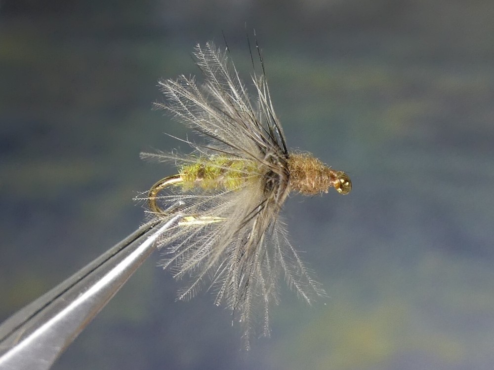 6 Flies - Apple Caddis Soft-Hackled Spinner