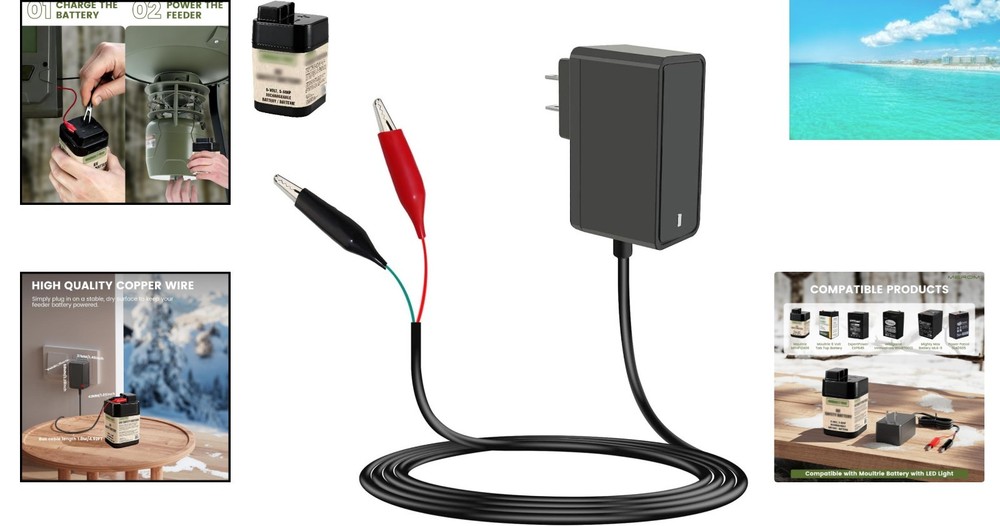 6V Battery Replacement Charger with LED Indicator & Self-Adapting Plug Design