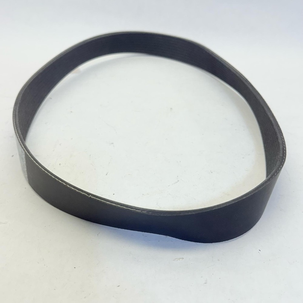 5413029 - INGINE FAN BELT