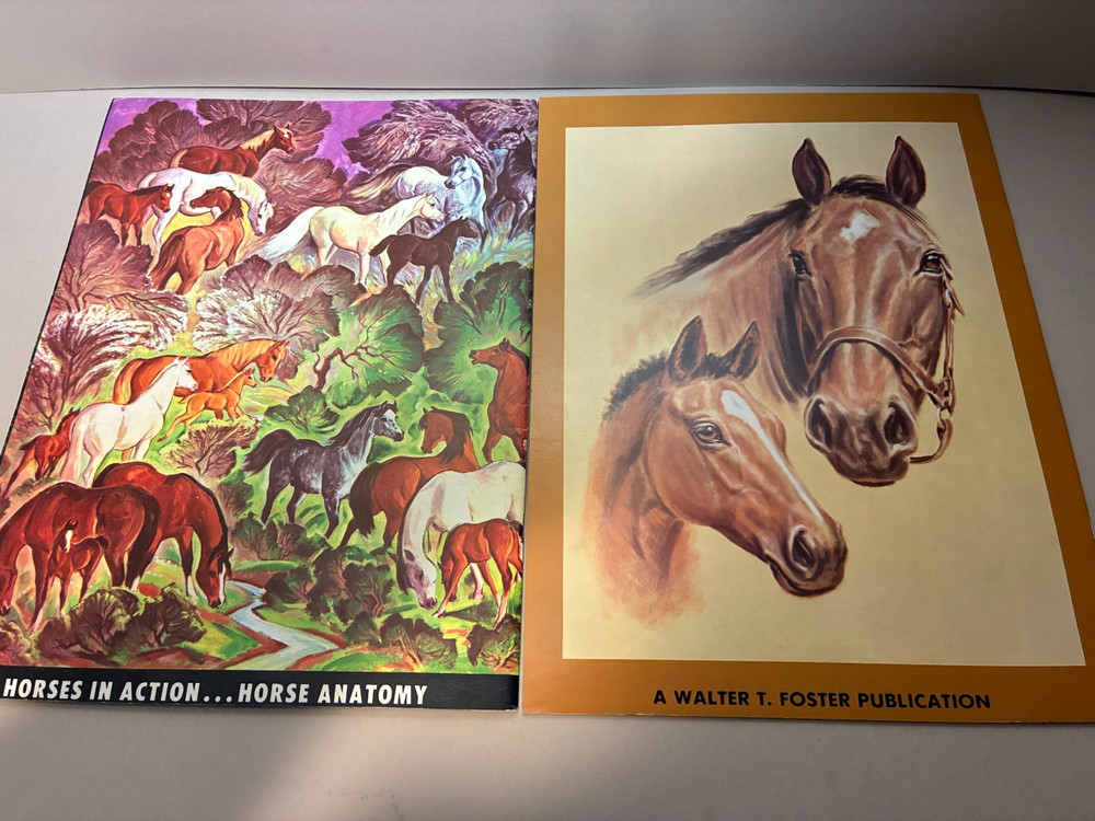 2 WALTER FOSTER ART BOOKS
