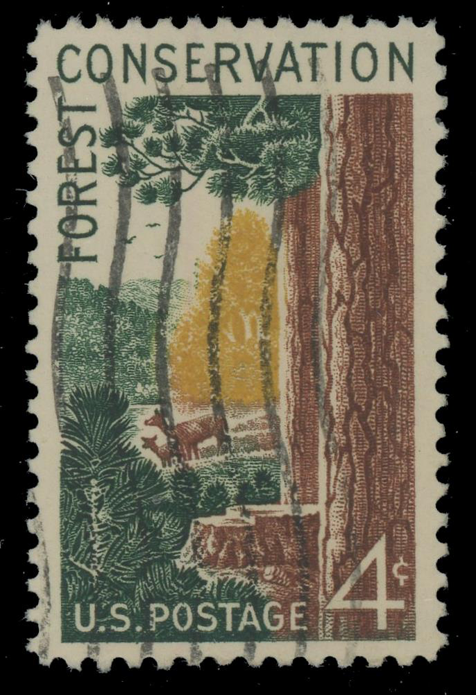 #1122 Used, PSE Graded 95, Cert # 01406622