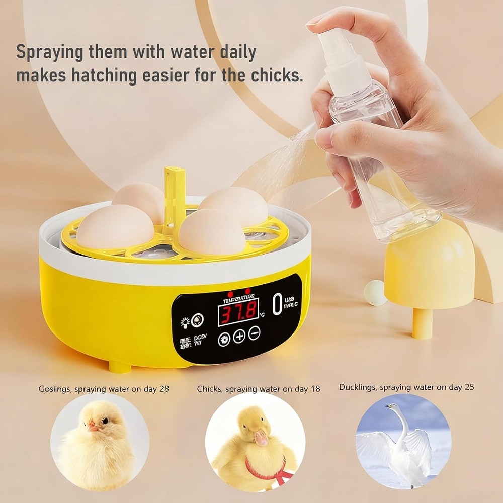 Egg Incubator with Manual Egg Turning & Humidity Control, Incubators
