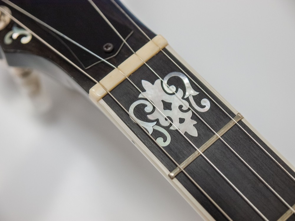 Deering John Hartford Pro 5 String Banjo (Pop On Resonator Missing) w/ Case