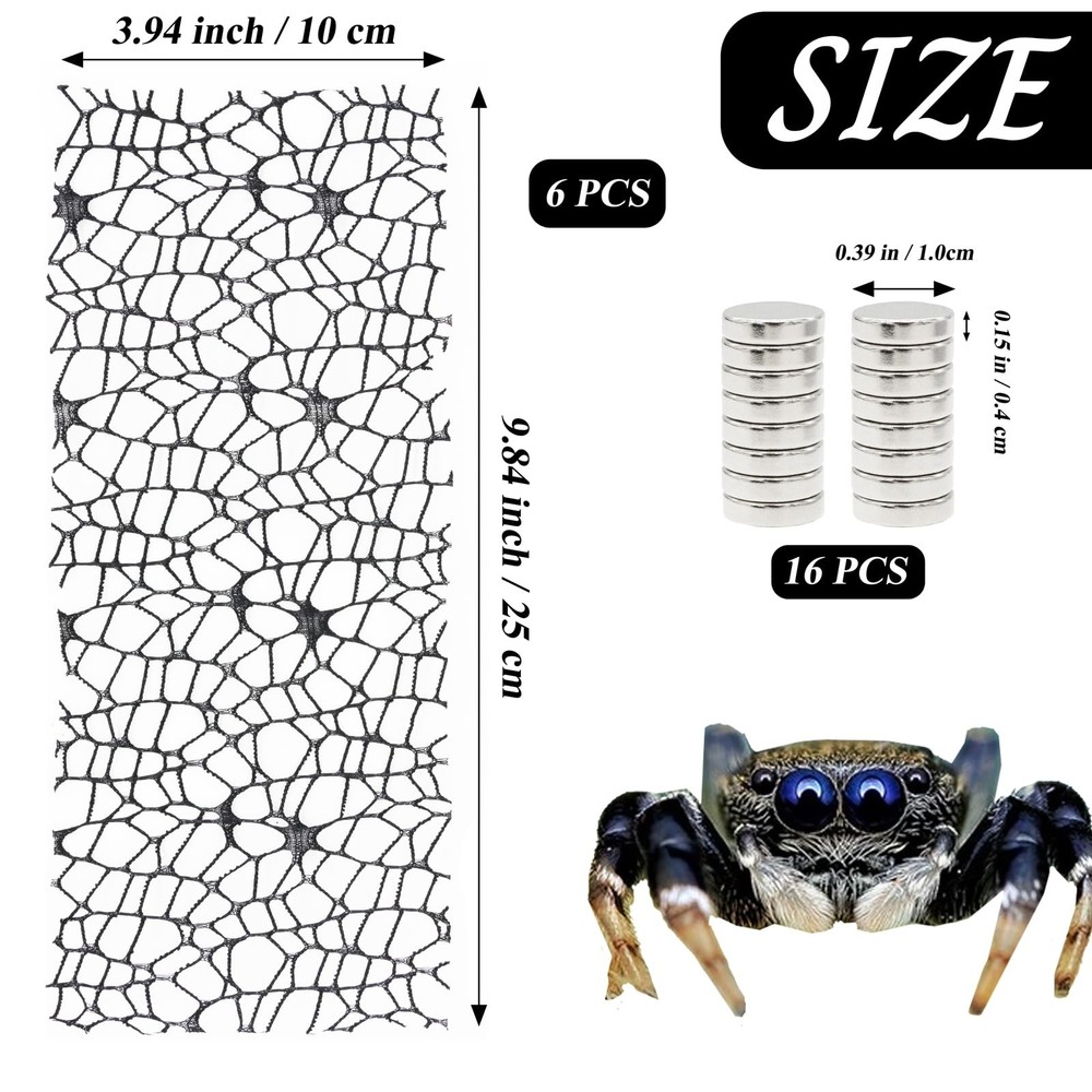 6 Pack Tarantula Enclosure Accessories Jumping Spider Habitat Accessories wit...
