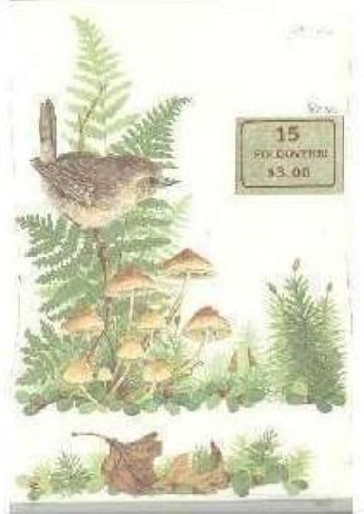 Gift\Party 6 pkg NEW BIRD FOLDOVER NOTE PADS