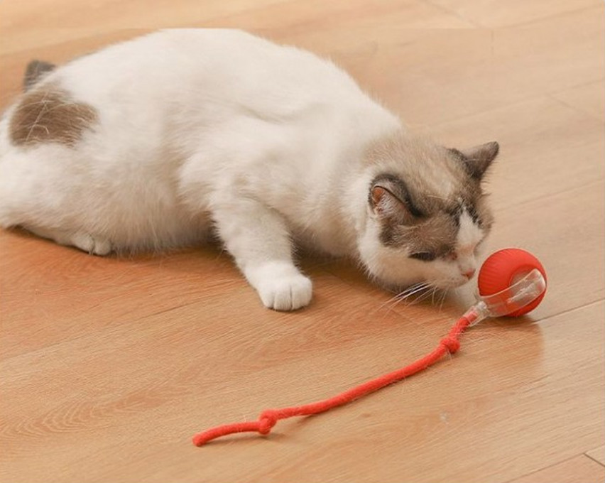 Filtertech Smart USB-C Rechargeable Interactive Rolling Pet Ball