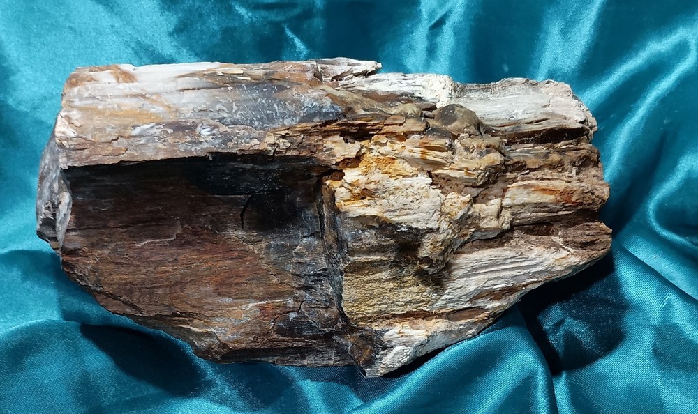 Opalized Petrified Wood Display Specimen WA State 4 LBS 9 OZ