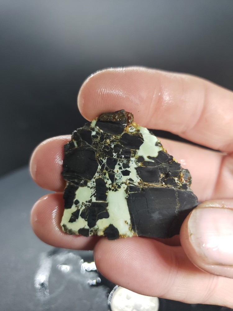 Nevada Gecko Variscite Slabs