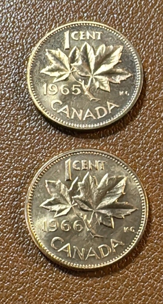 1963-1966 Canada One Cent Lot ⭐️Beautiful UNC/Proof⭐️