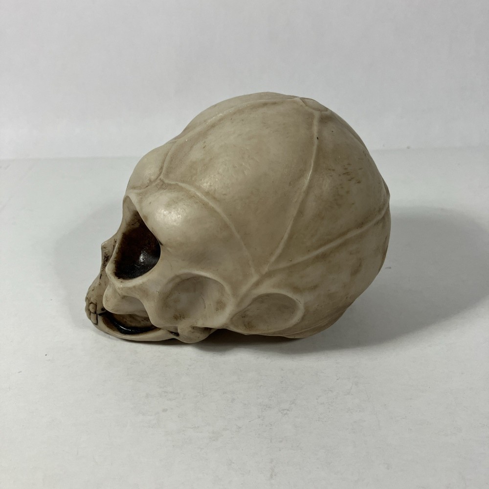 2013 Summit Collection Alien Skull