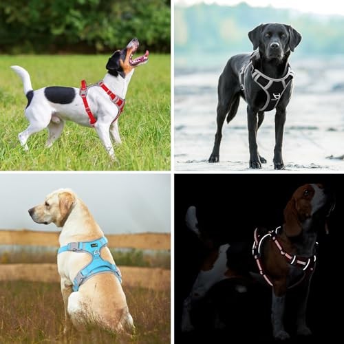 No Pull Dog Harness, Release at Neck, Reflective Adjustable Dog Medium Black