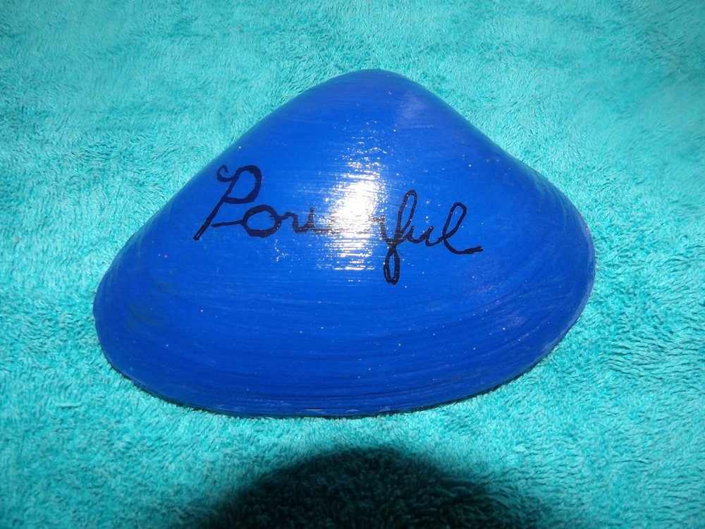 Magic By The Seashell, Blue Shell, Powerful, Has Been Blessed In a Ritual