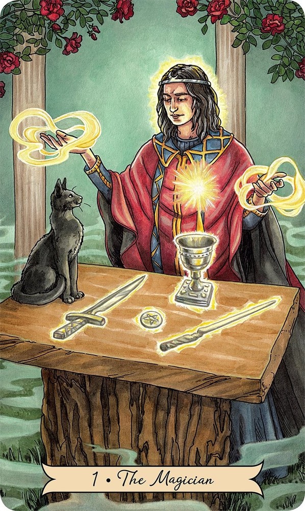 Everyday Witch Tarot Deck + Full-Color Book Reading Divination Deborah Blake