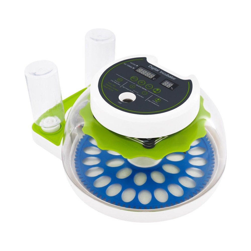 33 Eggs Quail Egg Incubator Modern Small Quail Brooder Poultry Quail Incubator