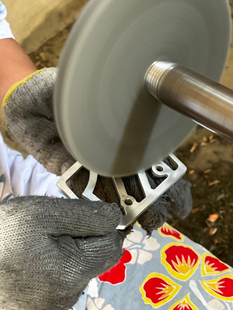 Harley pan america foot guard