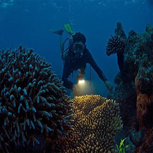 Underwater Light, Waterproof Light, Dimmable Waterproof (45m) LED Video Light